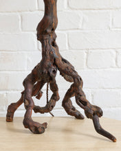 Load image into Gallery viewer, Brutalist Organic Large Vine Branch Lamp