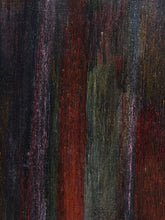 Load image into Gallery viewer, "APPARENTLY BLACK" By Tory Begg