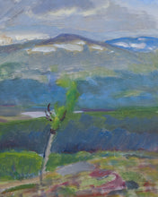 Load image into Gallery viewer, Swedish Framed Oil on Canvas landscape Painting