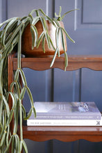 Load image into Gallery viewer, Vintage Scalloped Edge Rosewood Small Bookshelf