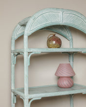 Load image into Gallery viewer, Tall Faux Bamboo Reeded Free Standing Shelving Unit
