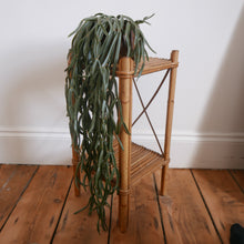 Load image into Gallery viewer, Vintage French Bamboo Plant Stand
