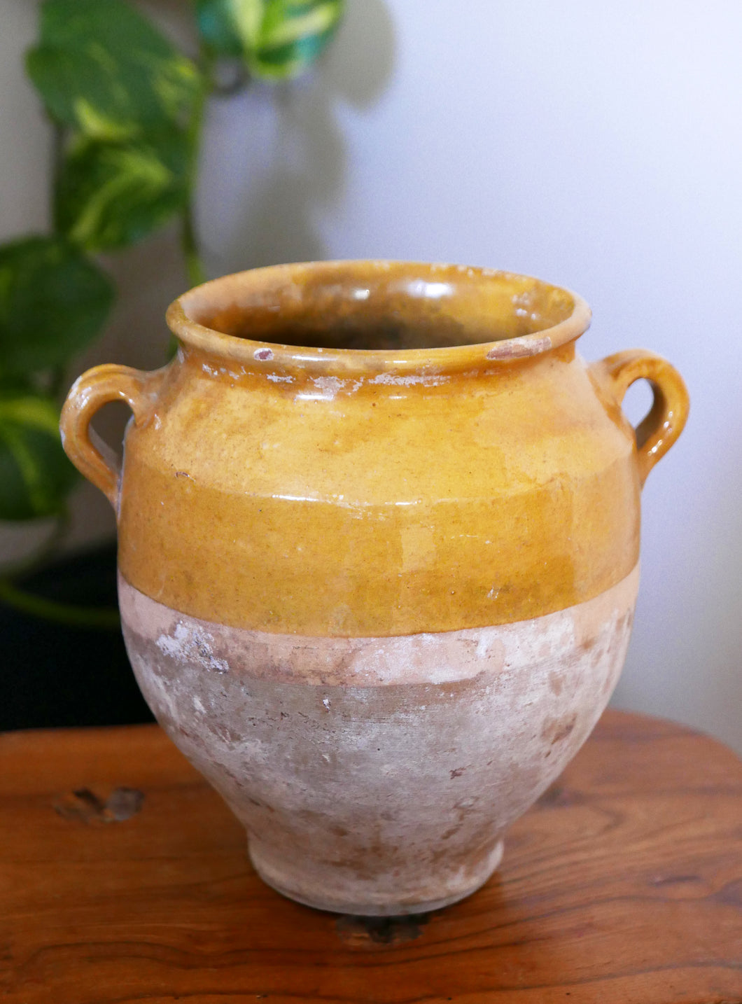 French Yellow Confit Pot